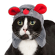 Illustration for article titled The Wonderful World of Cat Cosplay